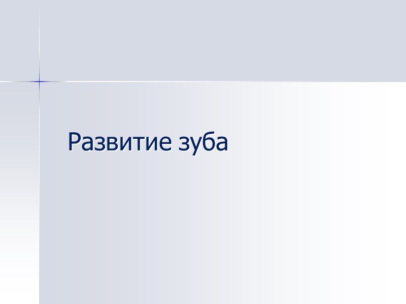 Развитие зуба